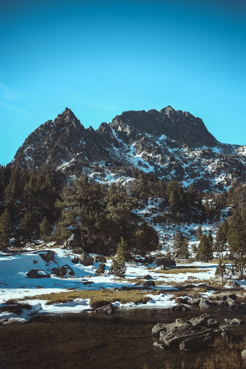 a snowy mountain with trees and a river below