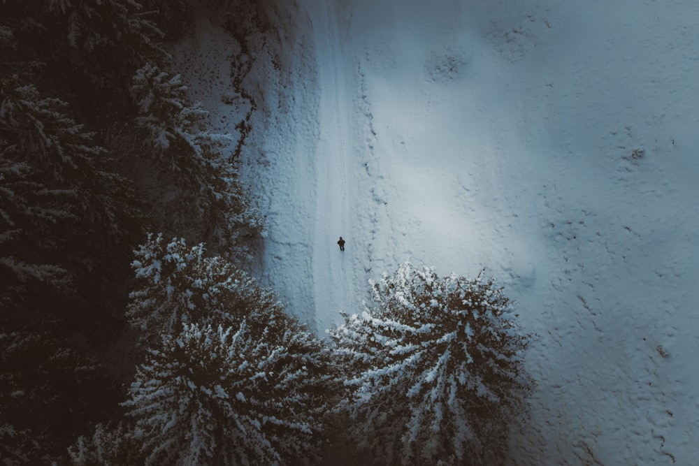 Una persona parada en una colina nevada