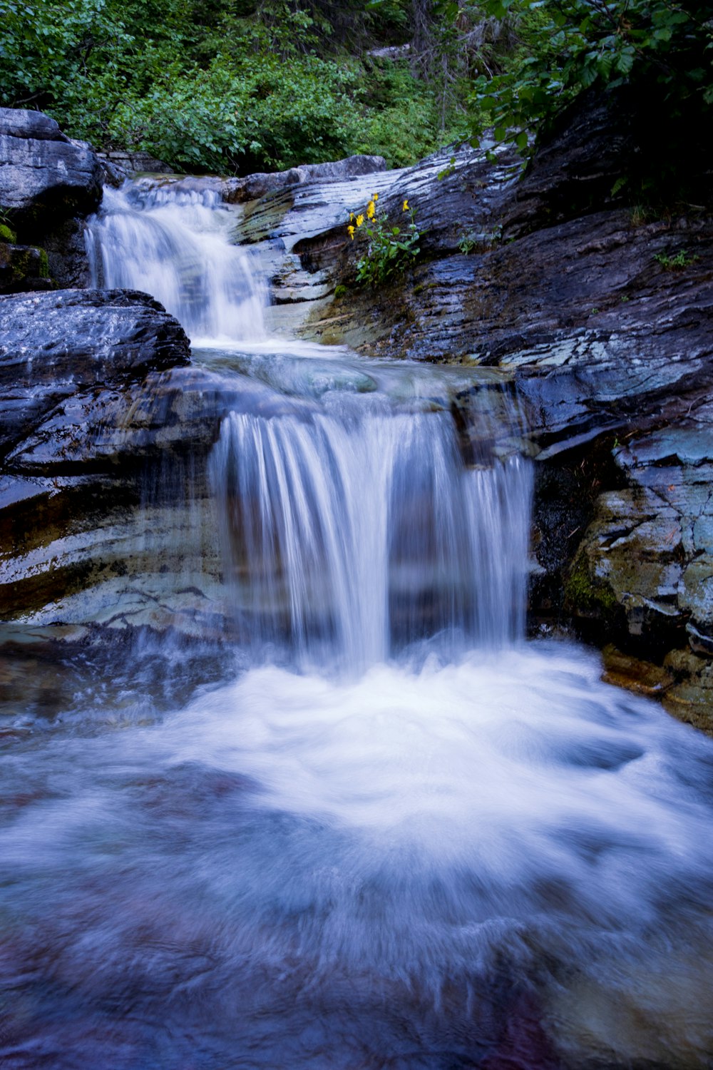 a waterfall with rocks and plants