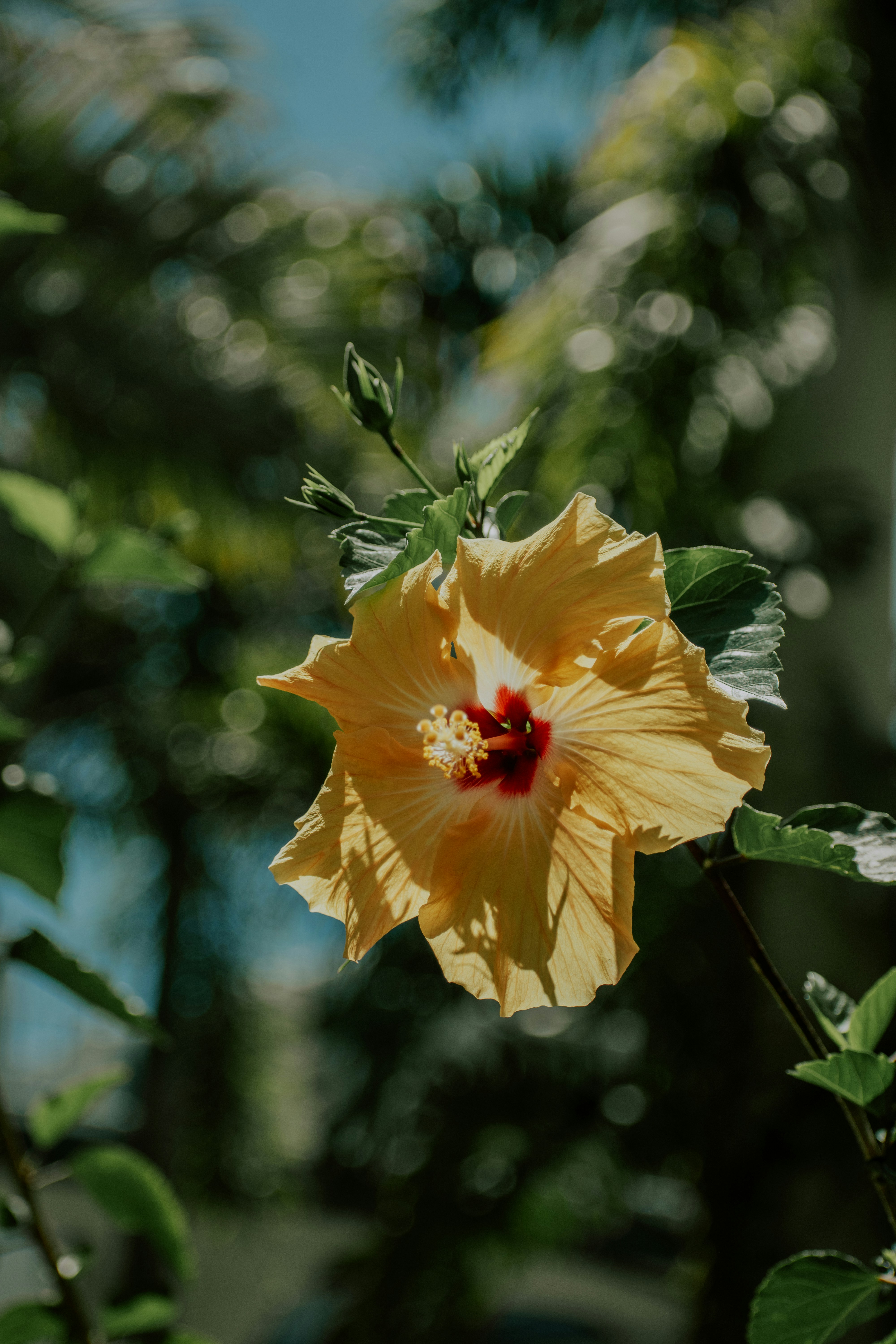 Photo by miekelauren