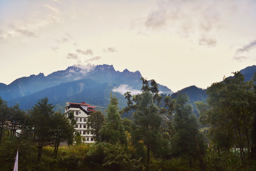 a house in the middle of a forest with mountains in the background