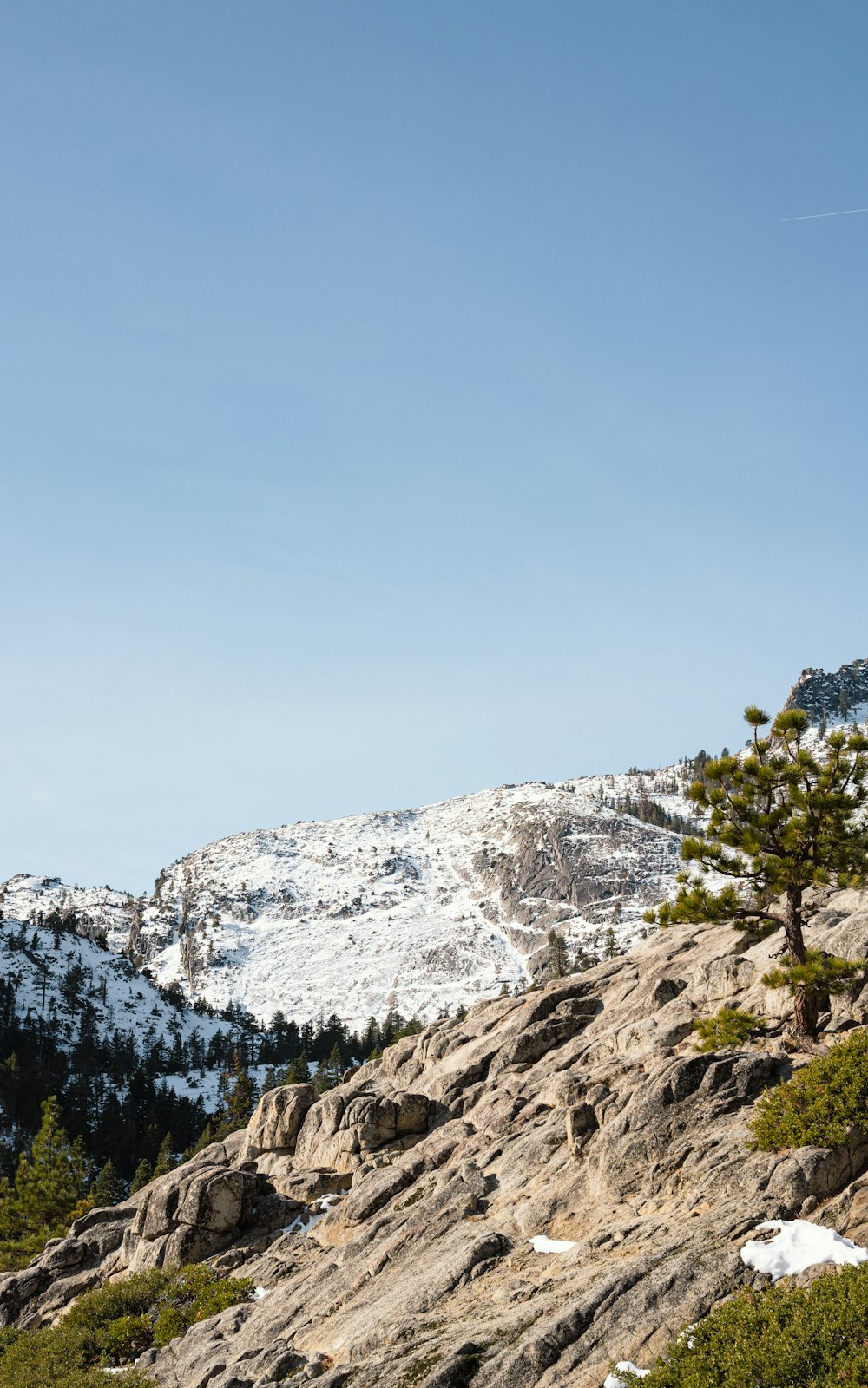 a snowy mountain with trees