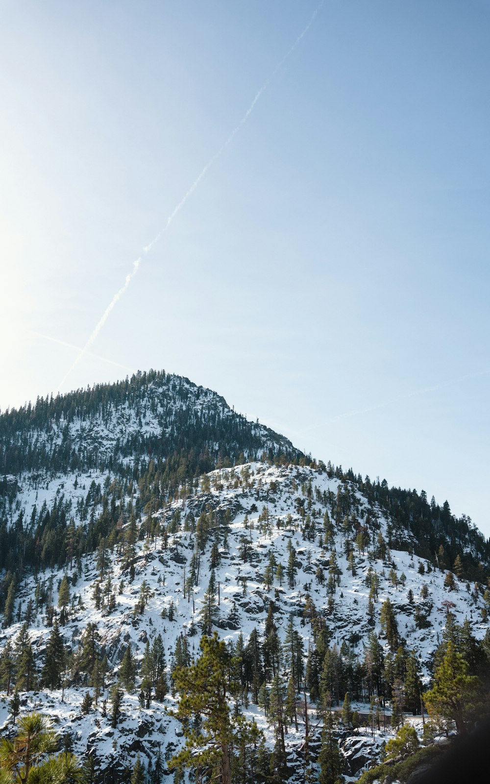 a snowy mountain with trees