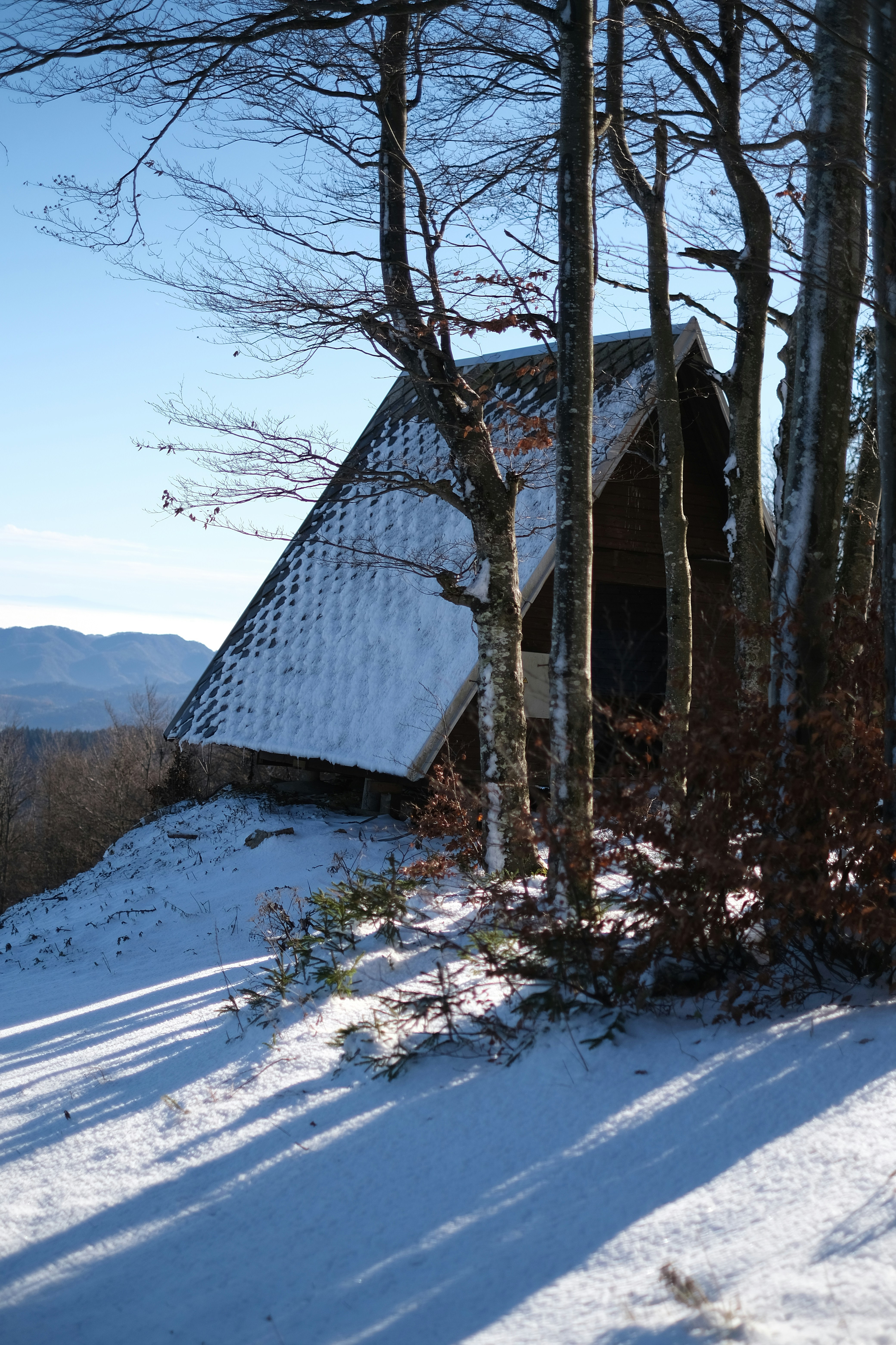 a snowy landscape with trees and a building in the distance
