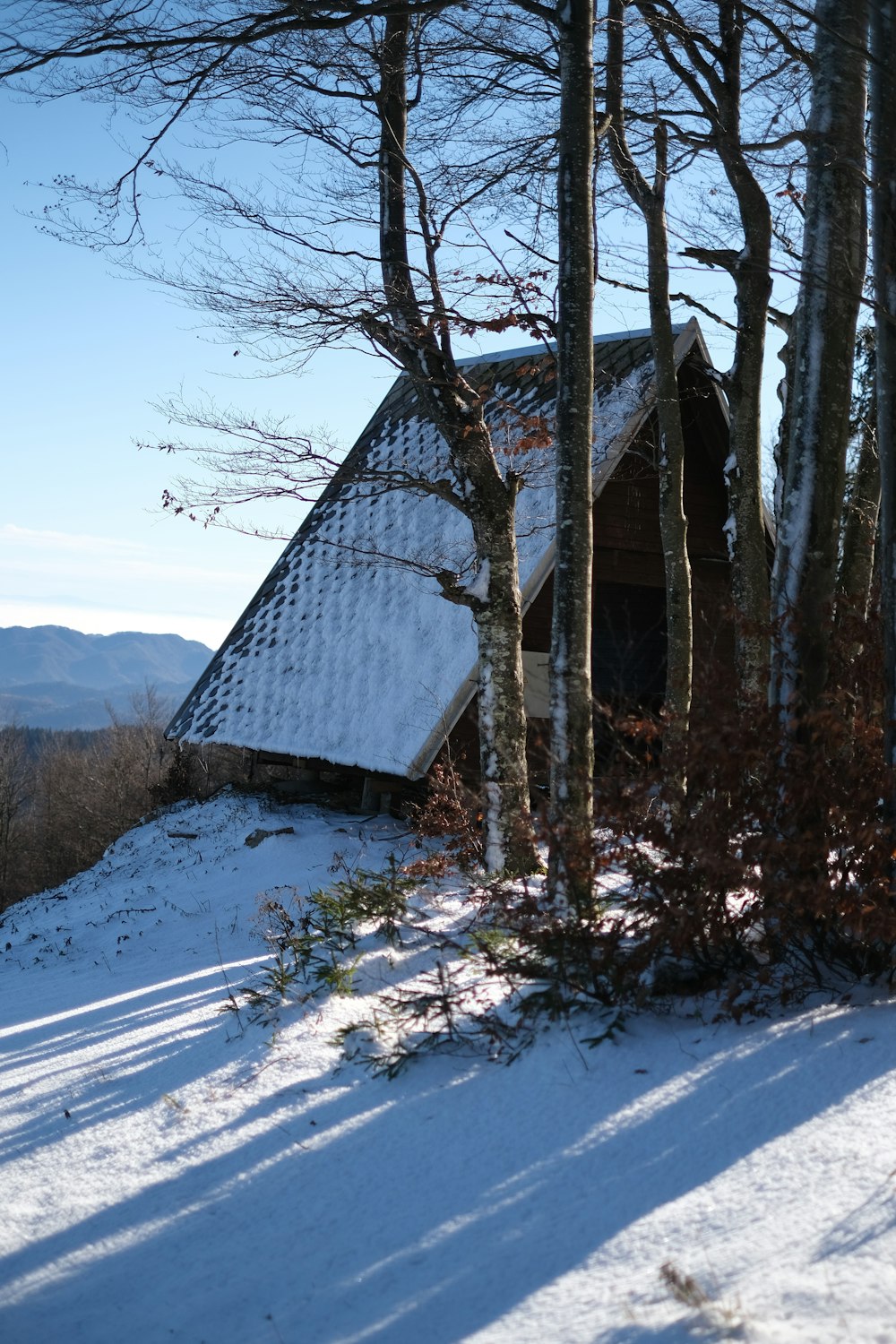 a snowy landscape with trees and a building in the distance