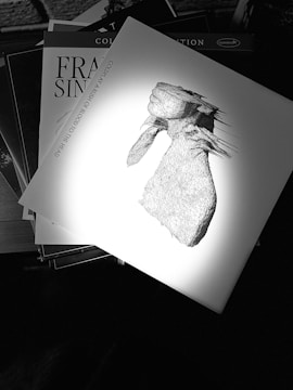 A monochrome image displays a stack of records with one prominently featuring an abstract line drawing on its cover, along with text including the artist and album name. The spotlight creates a dramatic contrast, highlighting the intricate details of the wireframe artwork.