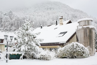a house covered in snow
