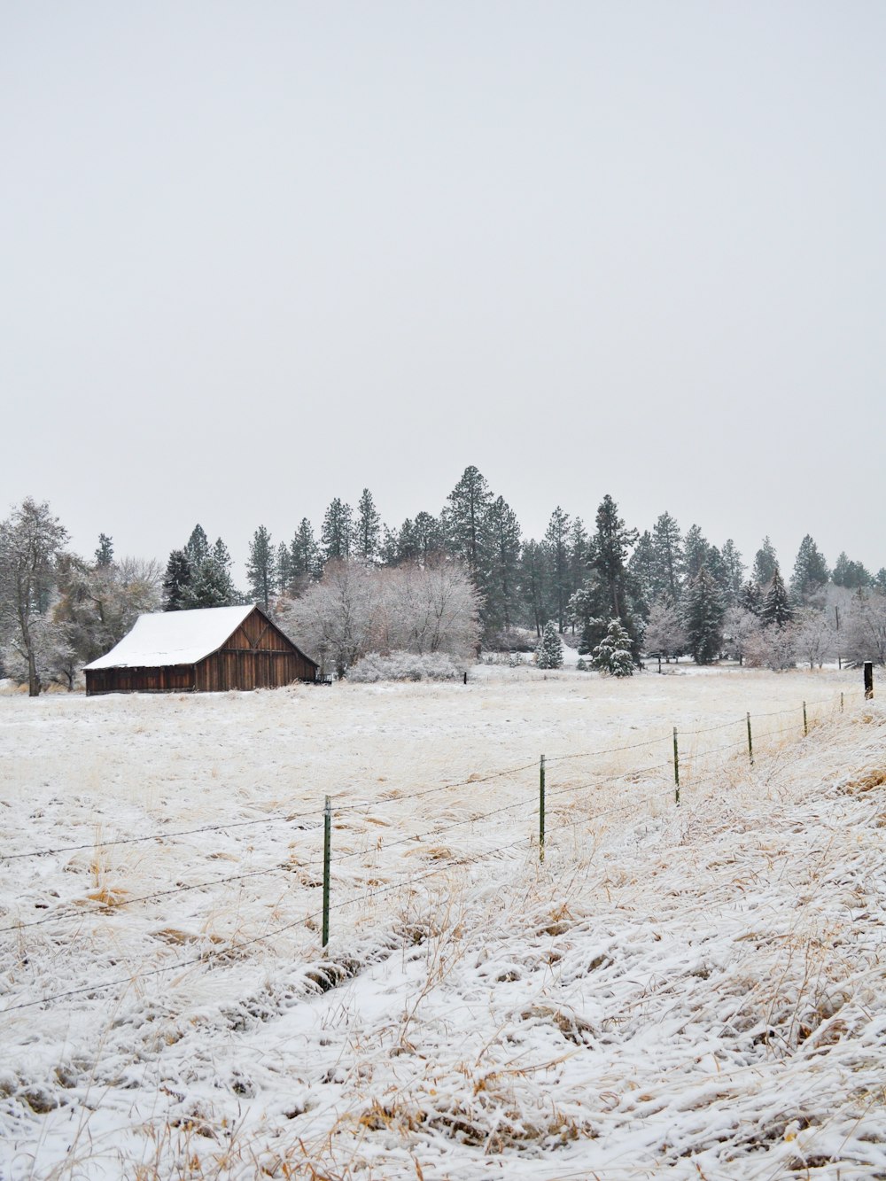 a barn in a snowy field