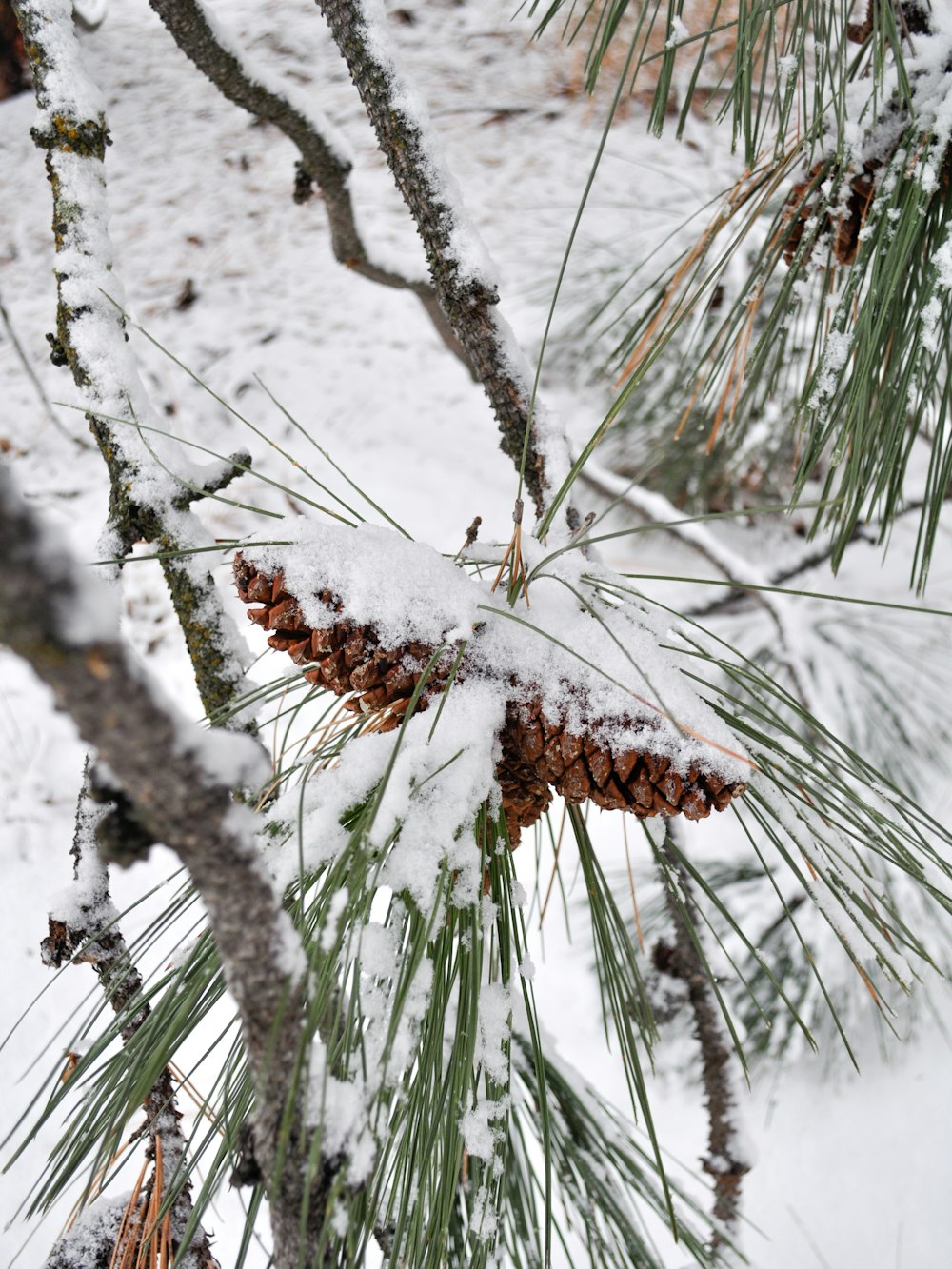 a close up of some snow