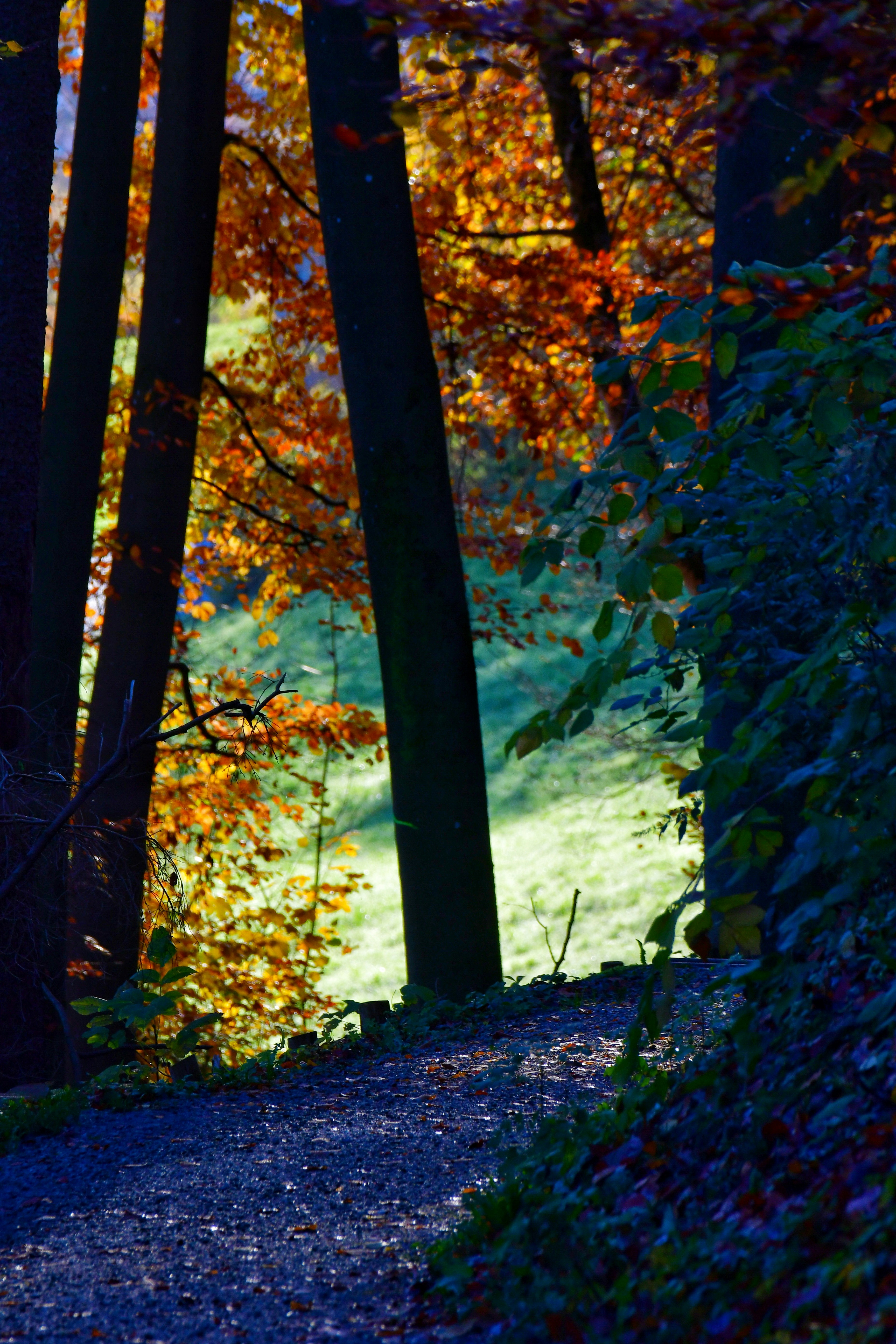 Photo by pedrino5_official