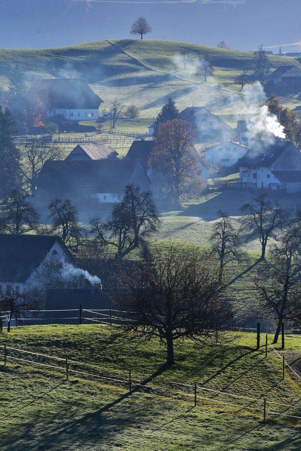 a landscape with trees and buildings