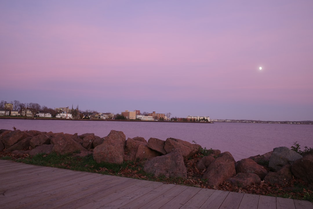 a body of water with rocks and a city in the background,