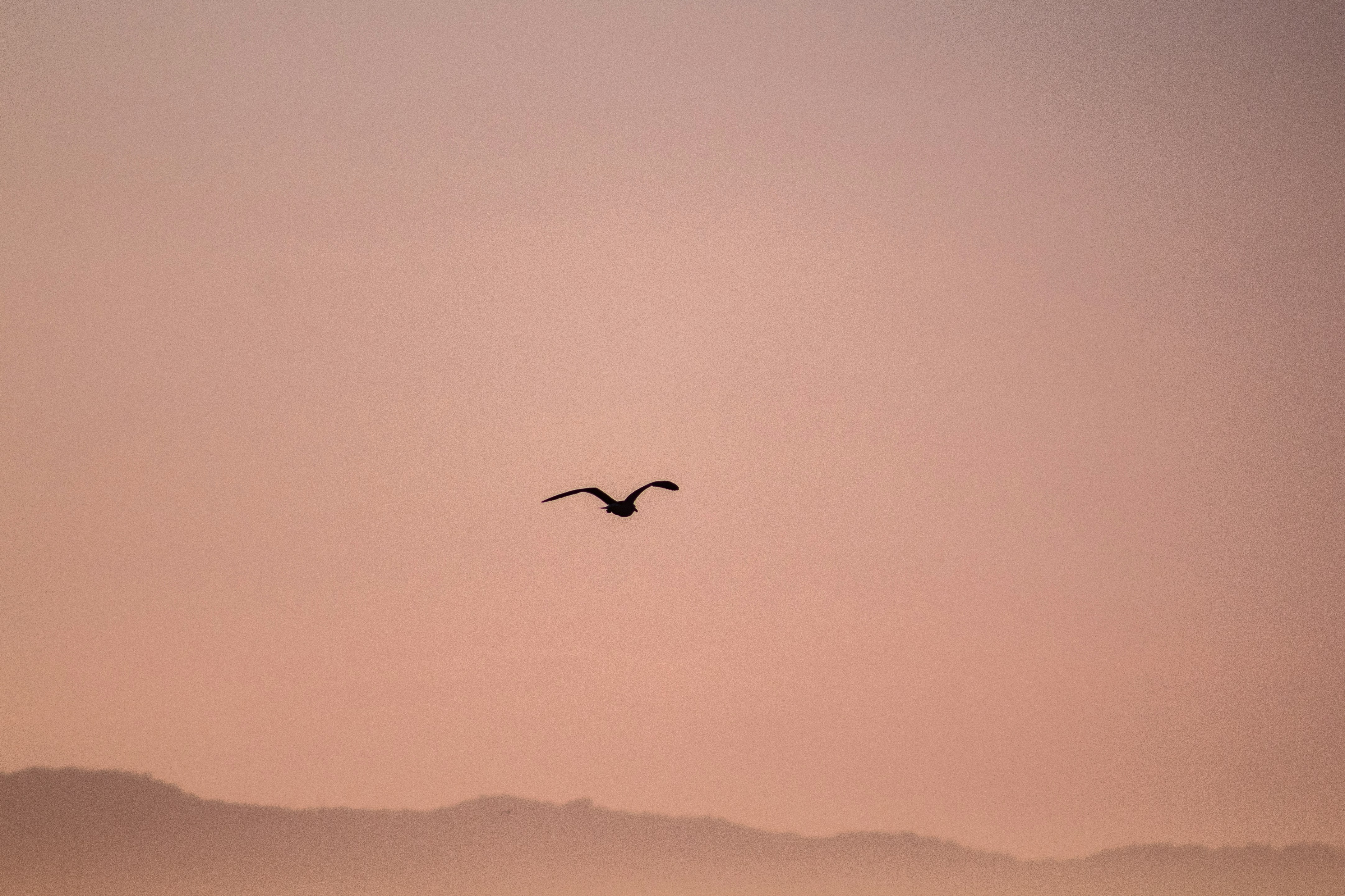 Photo by rodrigodiogo