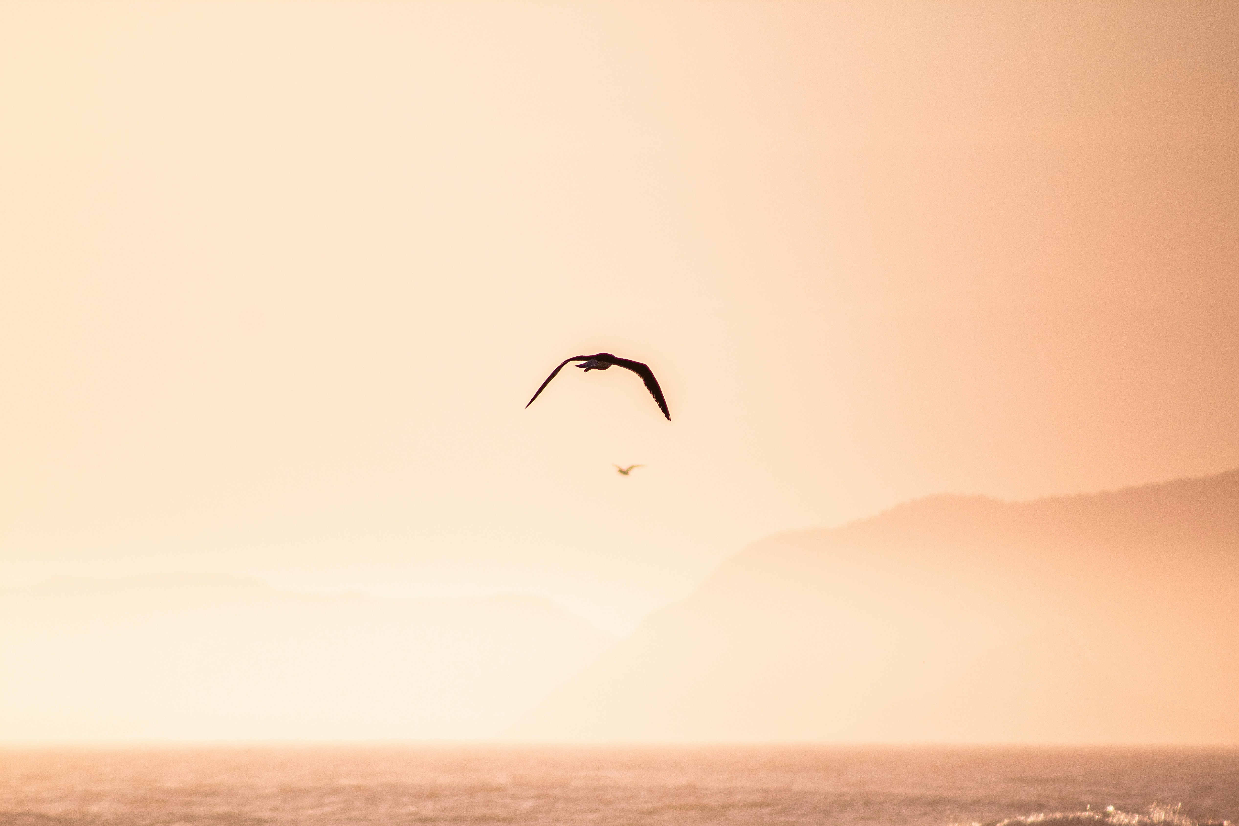 Photo by rodrigodiogo