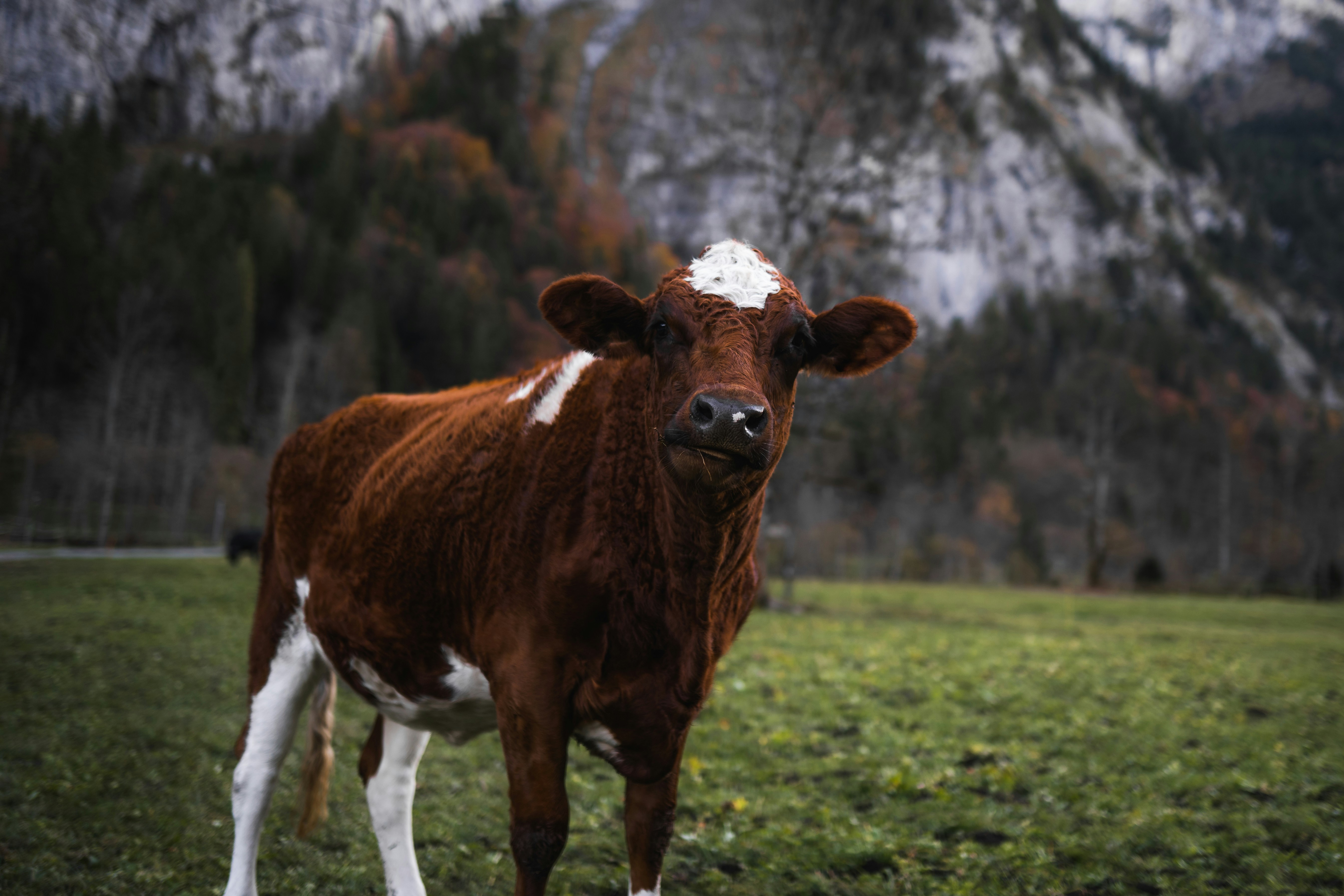 Photo by spensersembrat