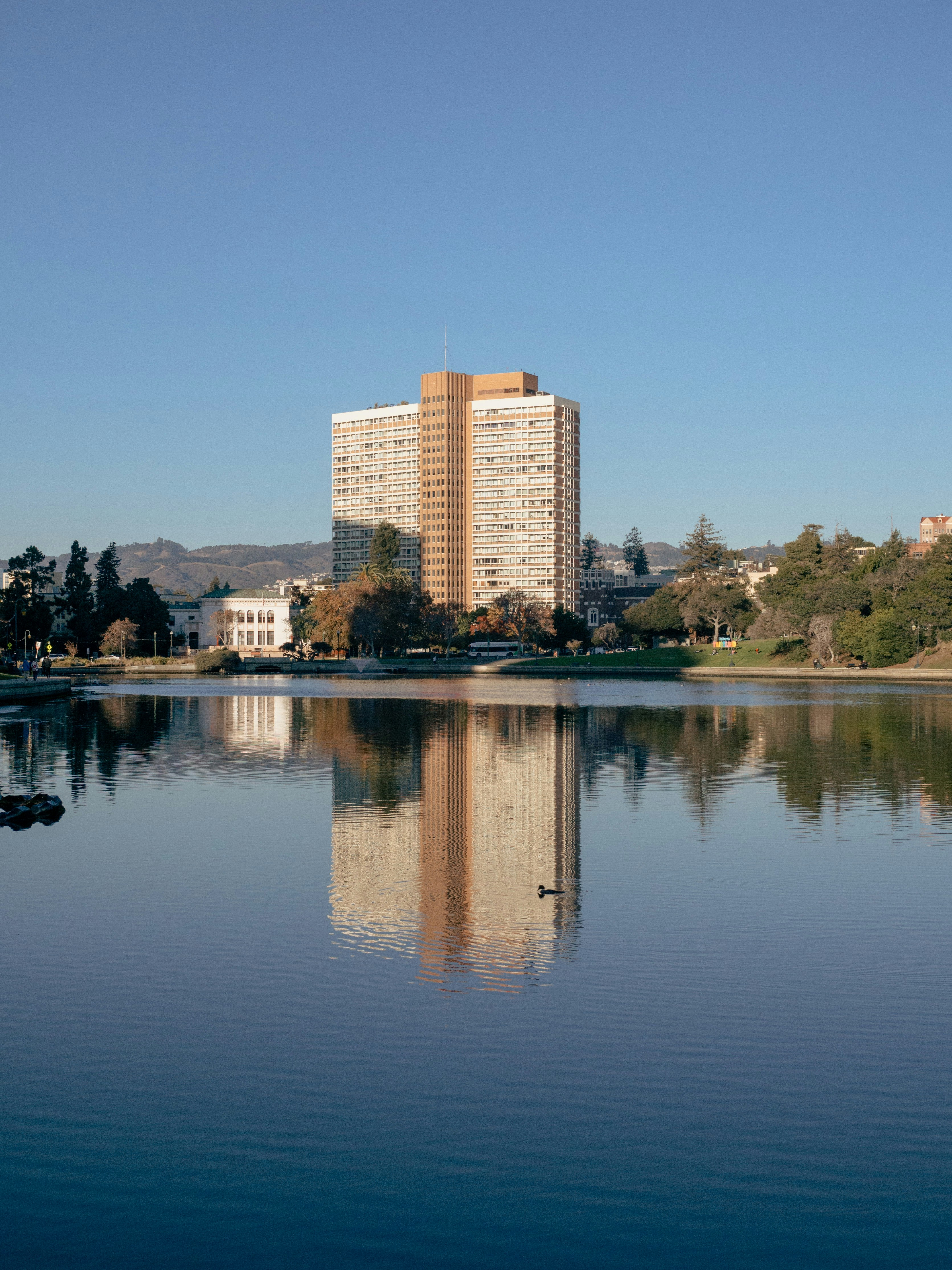 outdoor workspace nature, wallpaper, Remote Work Campsite Gear: Essential Equipment 2