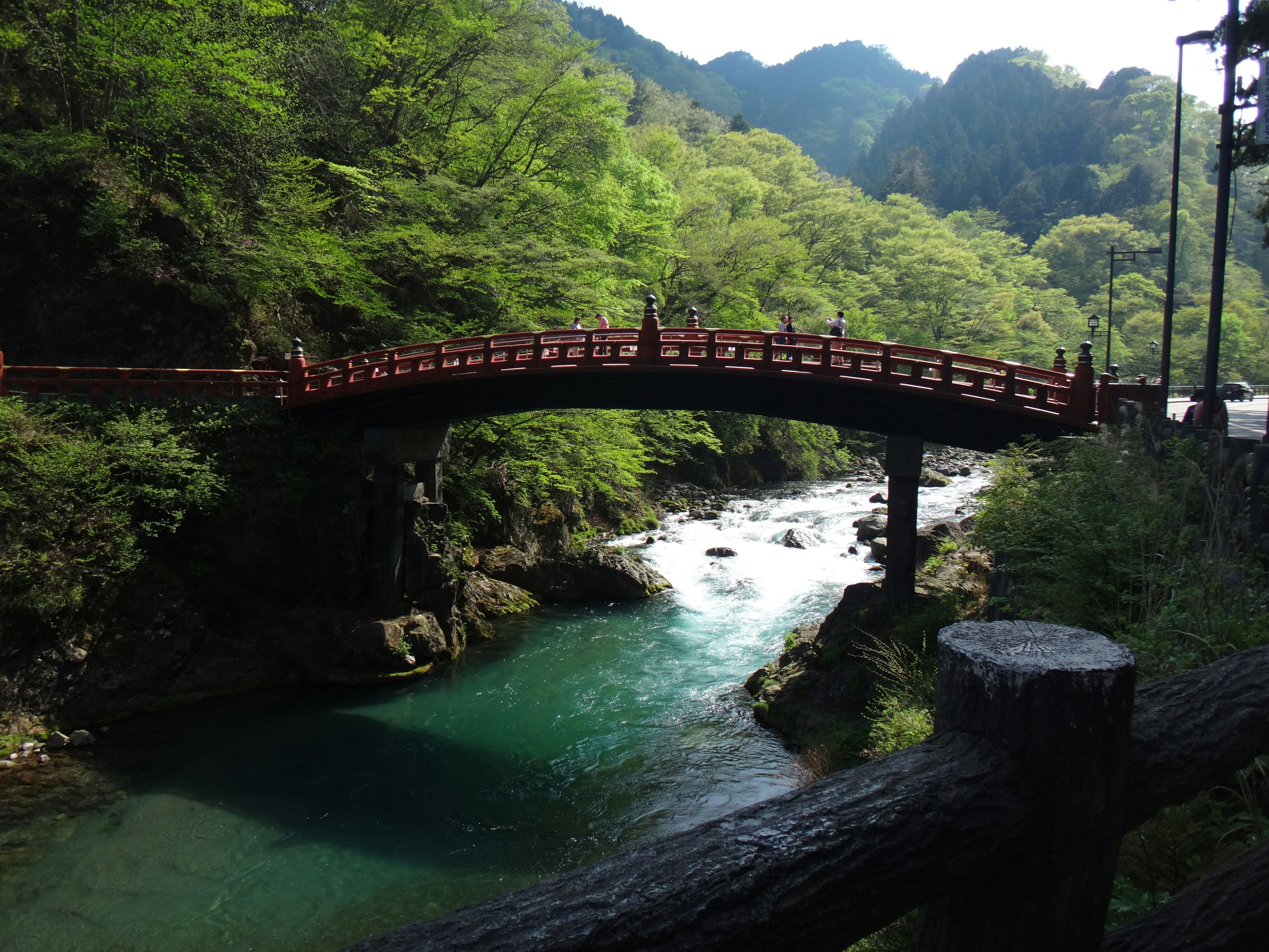 Immersive nature travel in Japan