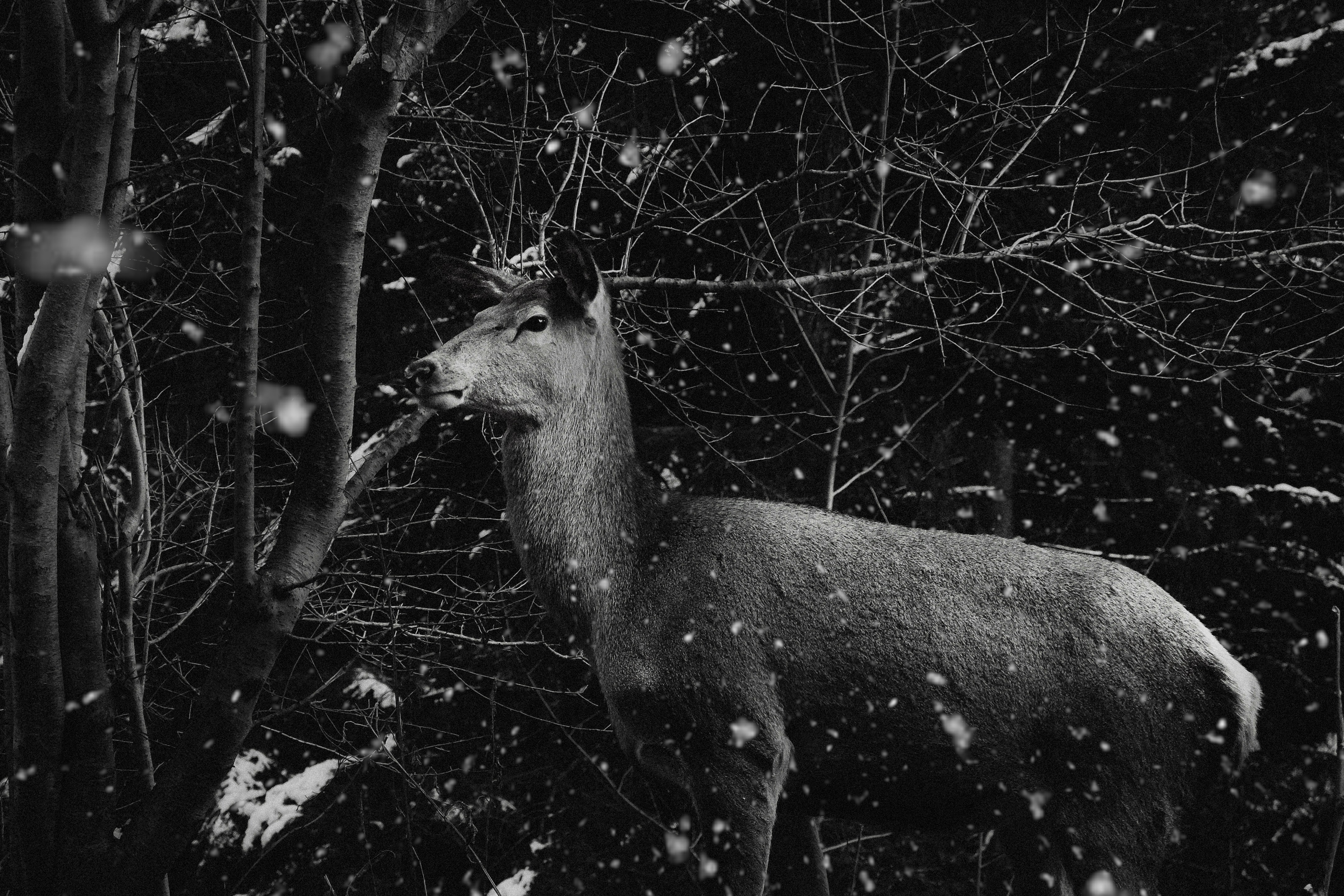 Photo by prostotakphoto