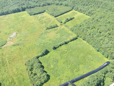 An aerial view of a large expanse of green land, divided into sections by a grid-like pattern of shrubs and trees. The landscape is mostly flat with sparse patches of rocky terrain, surrounded by dense forest on the perimeter.