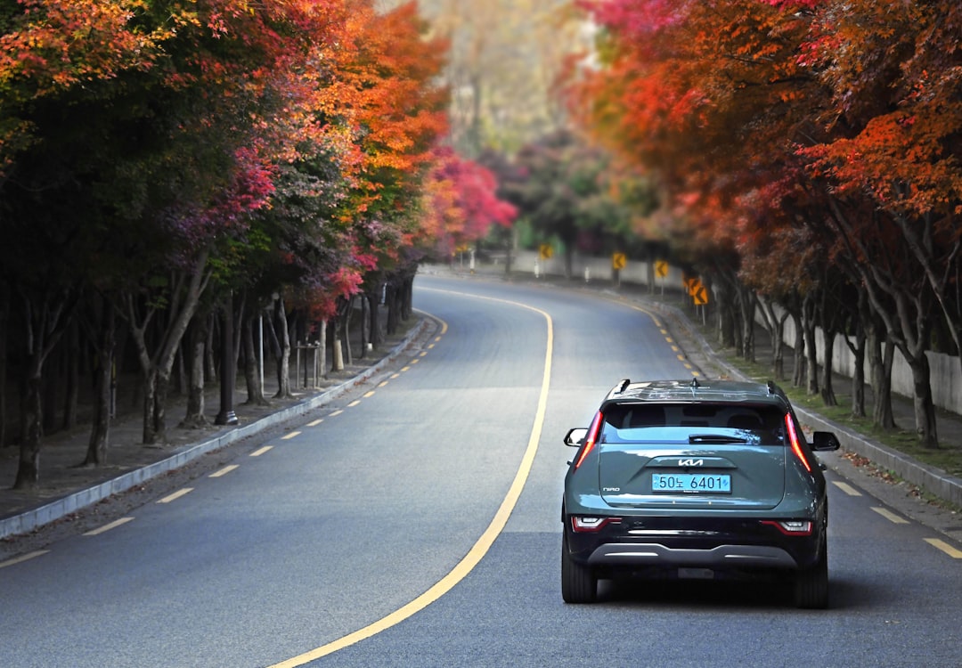 a car driving down a road with trees on either side of it, Kia Niro EV along the autumn foliage