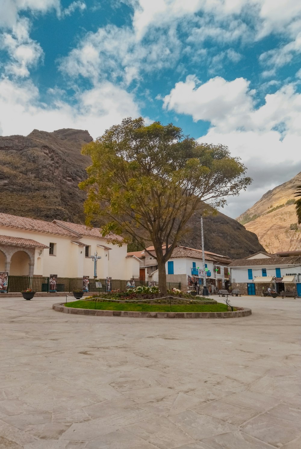 Un árbol en una ciudad