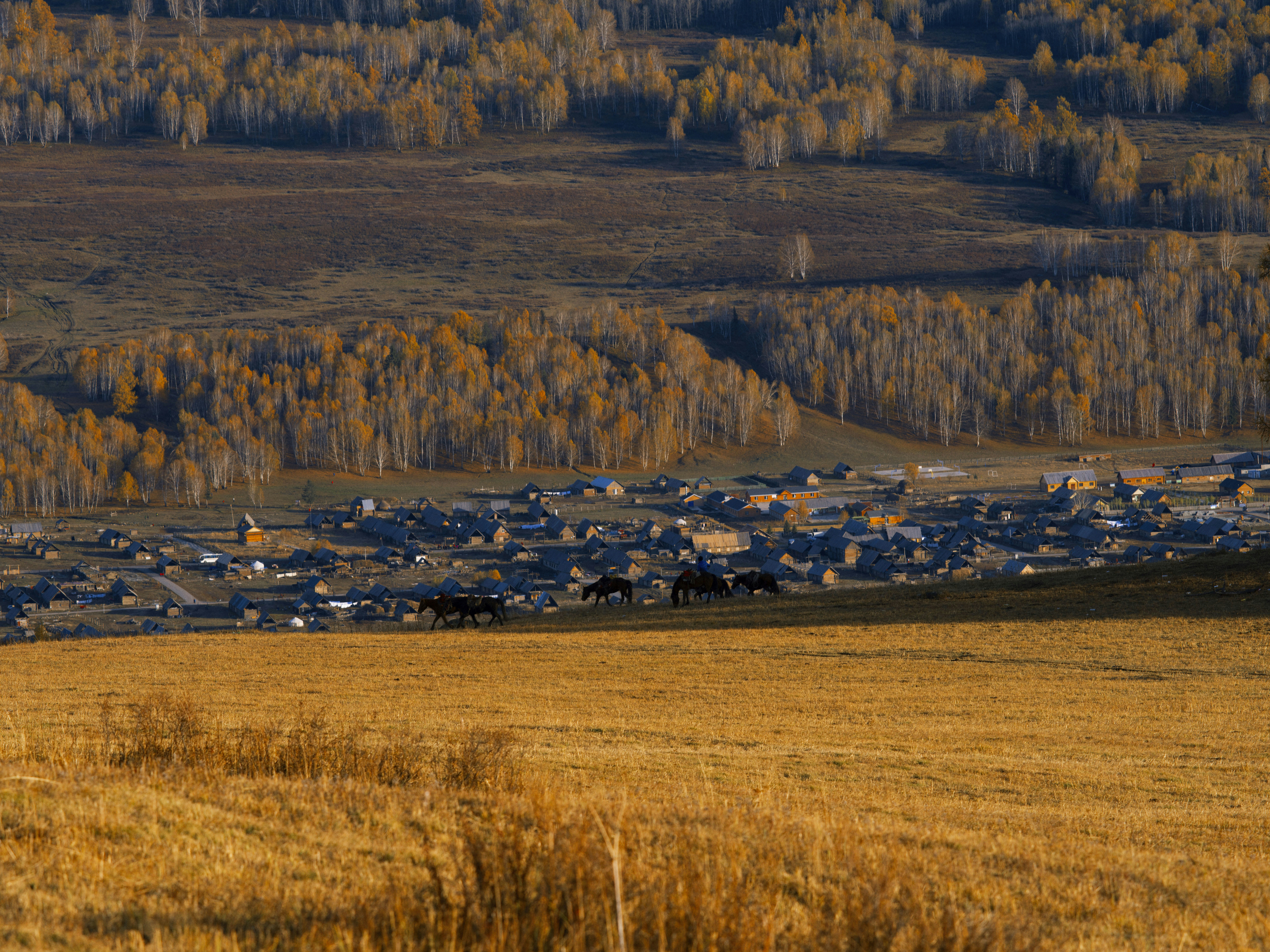 a large group of houses in a field