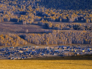 A small village nestled in a valley surrounded by dense forests, trees displaying autumn colors with yellow leaves. The landscape is bathed in soft, golden light, suggesting late afternoon or early evening. The structures in the village are mostly wooden houses with pitched roofs.
