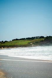 a beach with a body of water and grass on the side