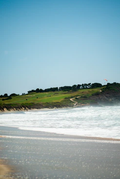 a beach with a body of water and grass on the side