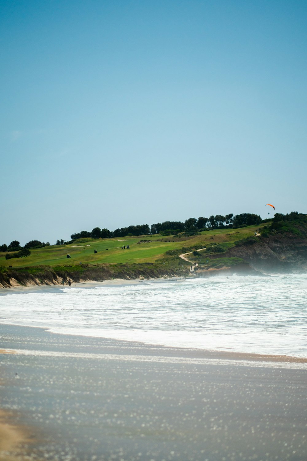 a beach with a body of water and grass on the side