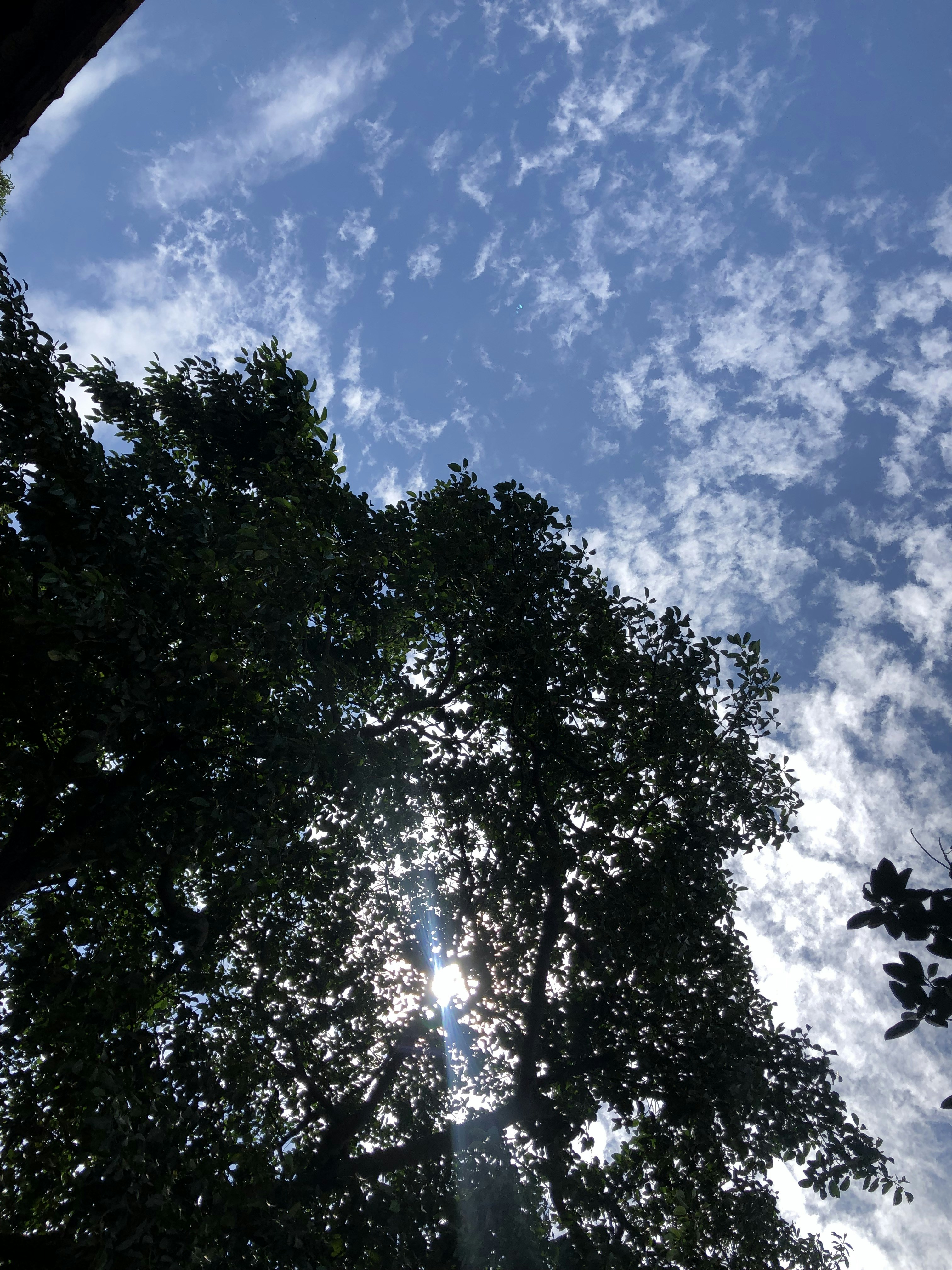 Photo by trongduy1994