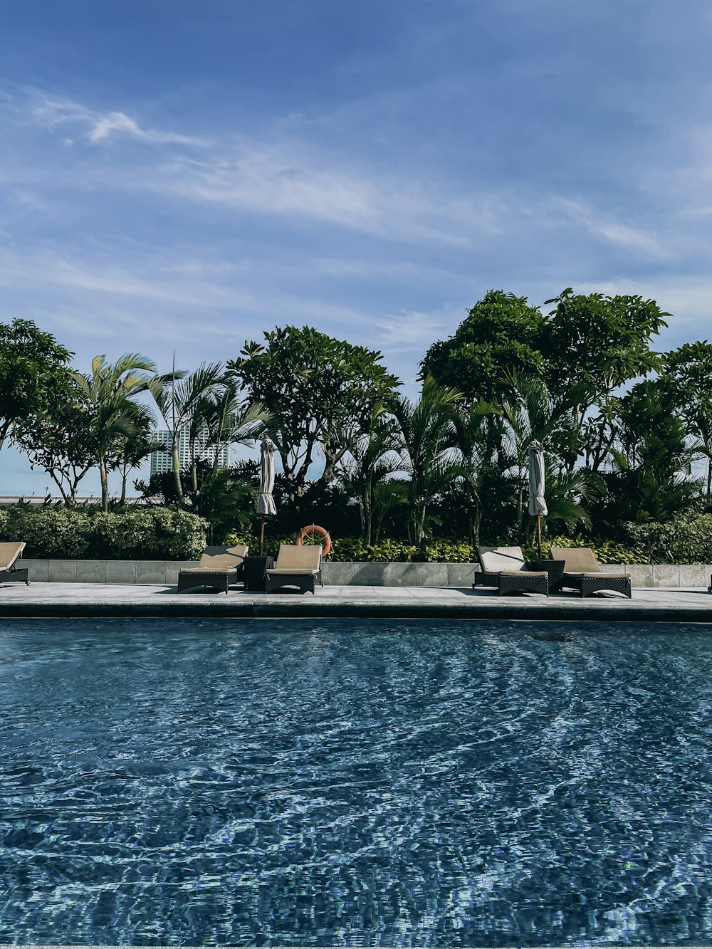 a pool with trees around it