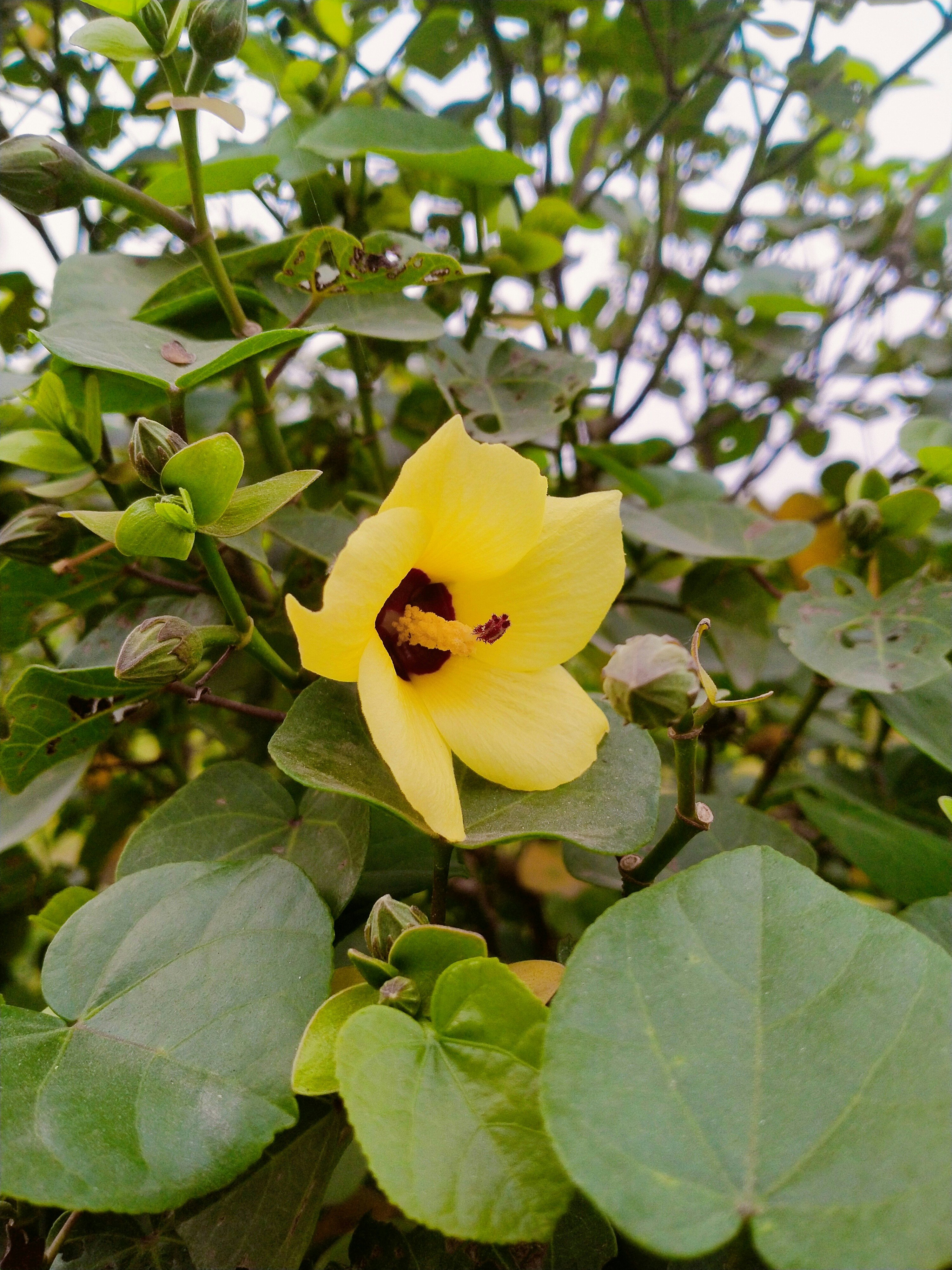 Photo by saqibjan636