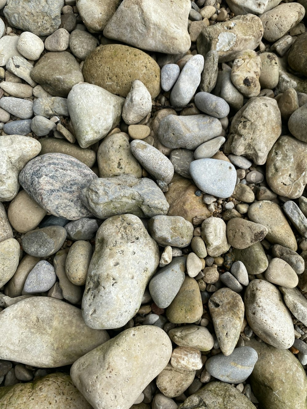 un gruppo di rocce