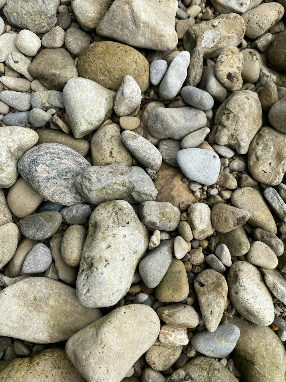 a group of rocks