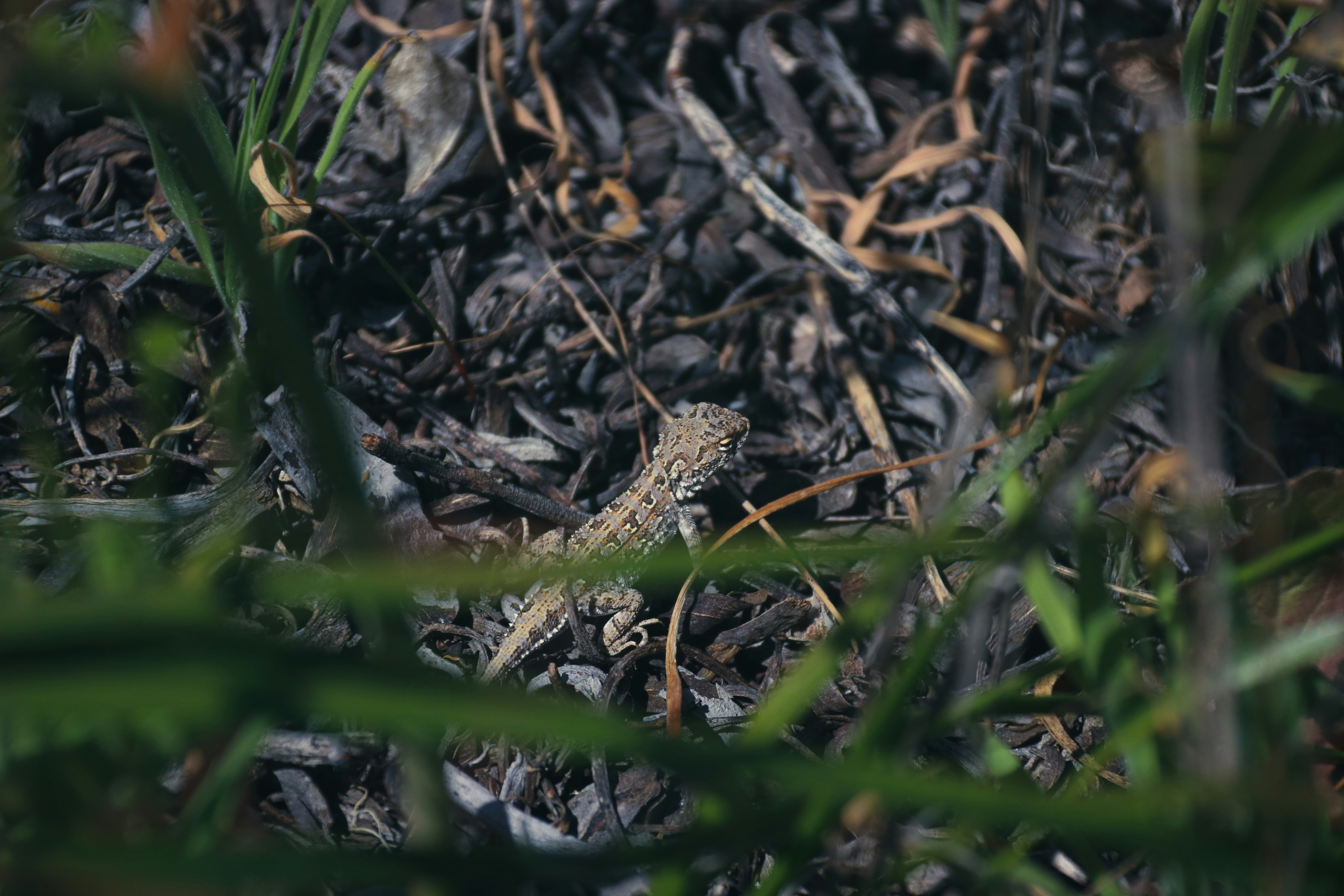 Photo by alwanibrahim