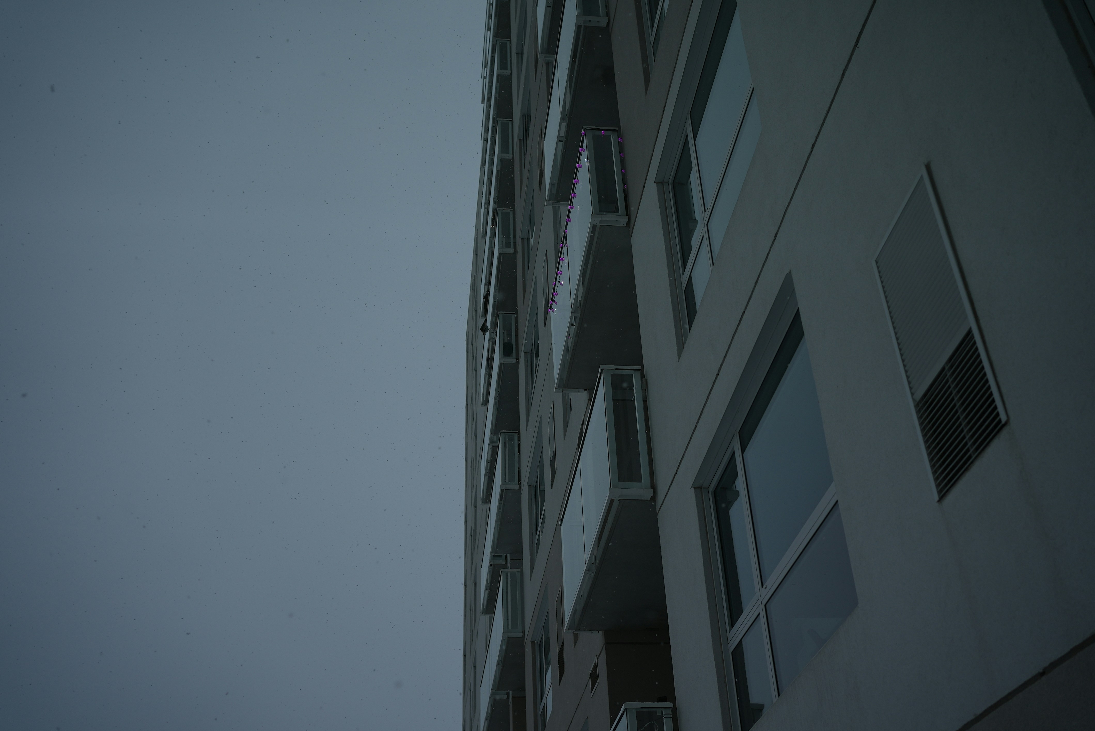 Photo by horilyk_