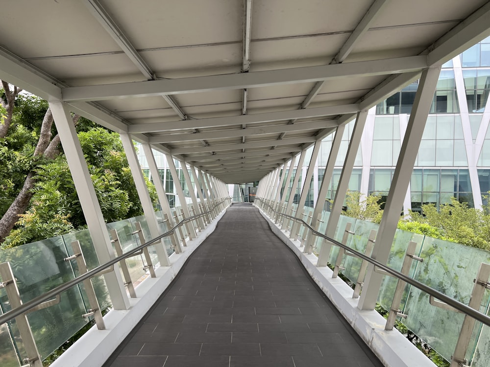 a walkway with plants and a building