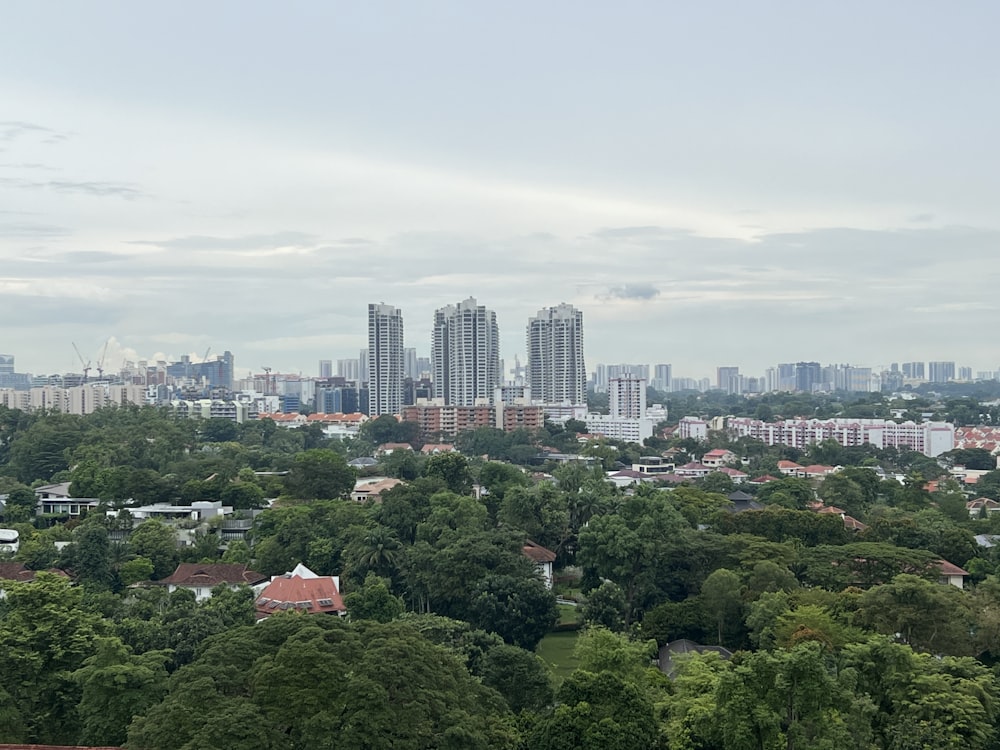 a city with many trees