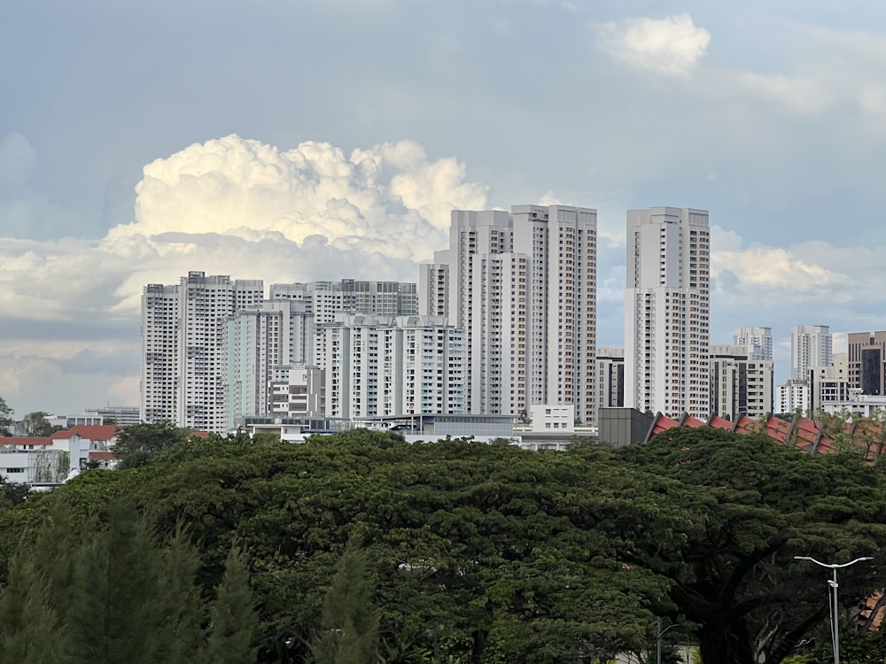 a large city landscape