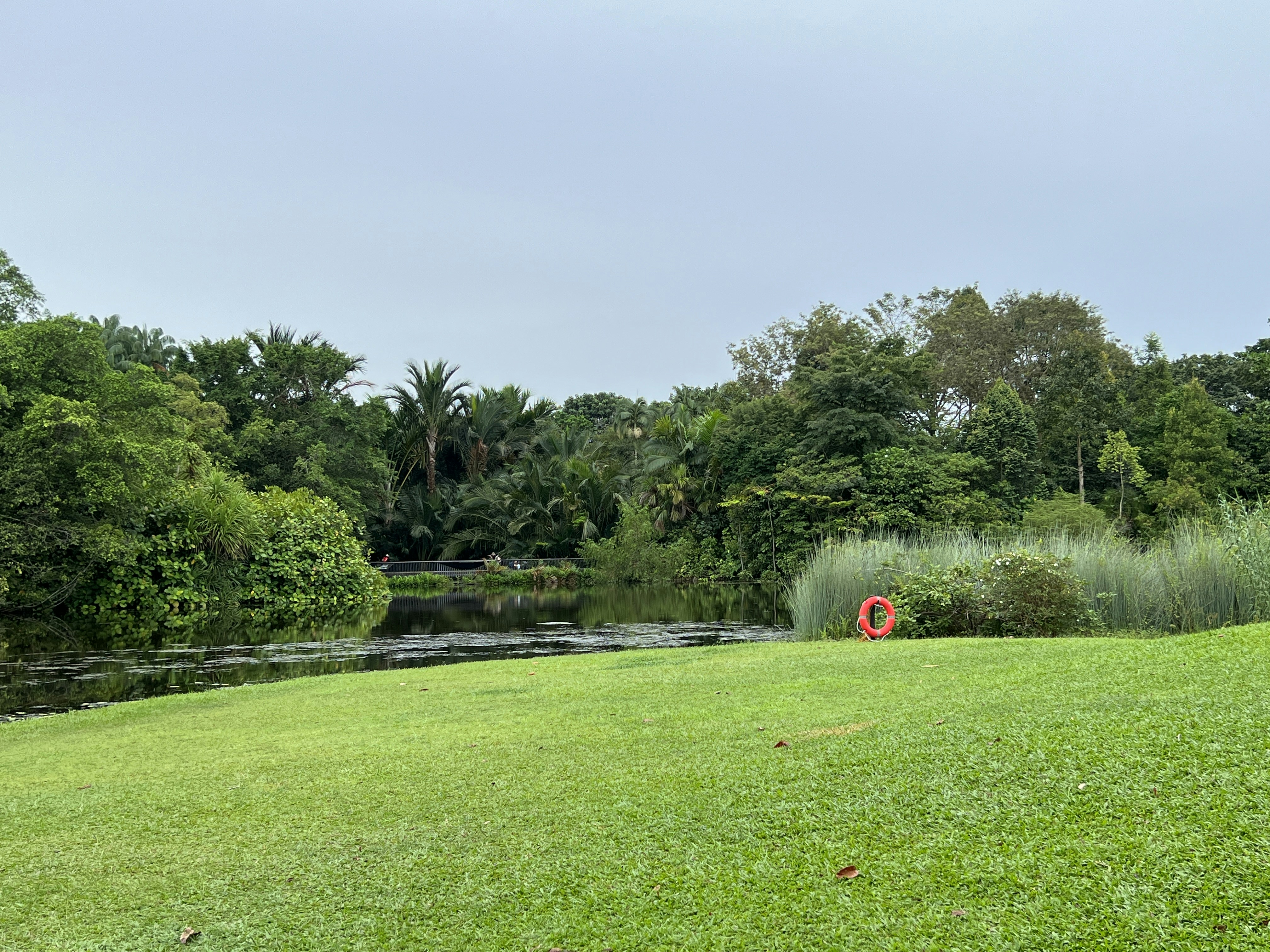 Photo by space_launch_system