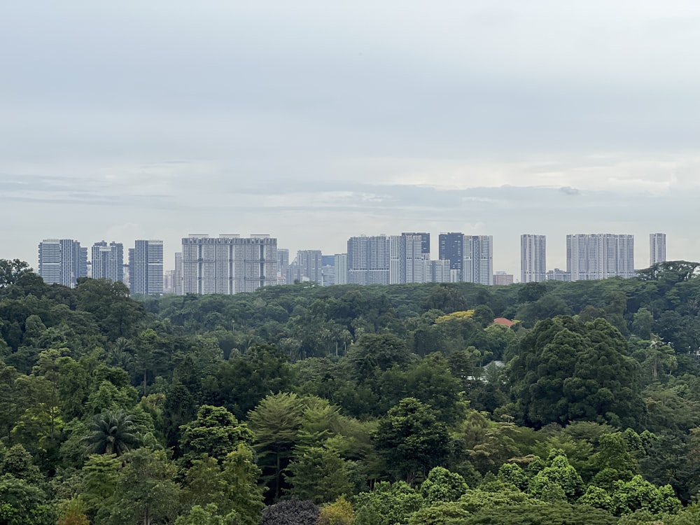 a city skyline with trees