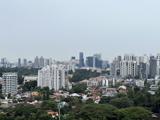 a city with many buildings