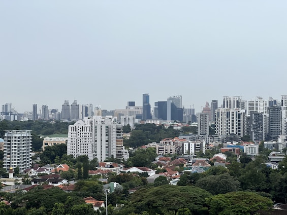 a city with many buildings