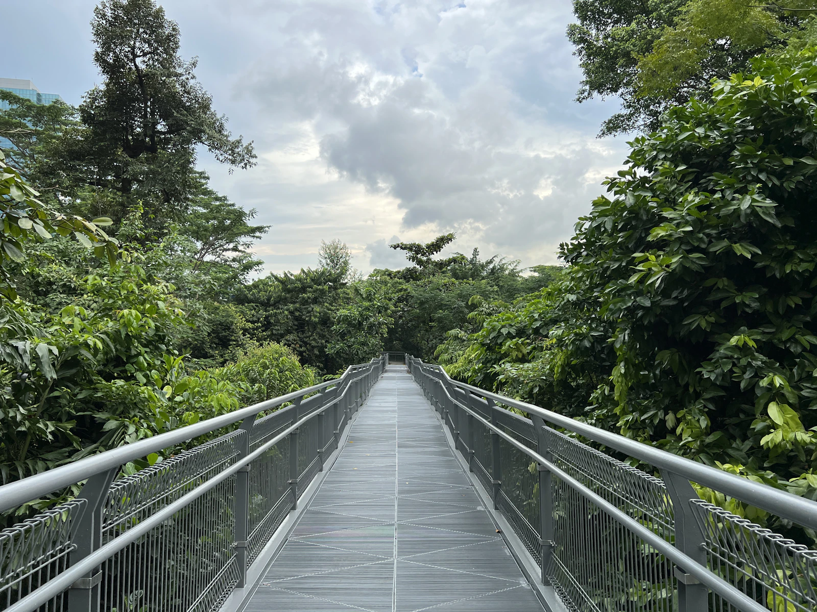 Mandai Rainforest Resort by Banyan Tree: Treehouse Living in Singapore