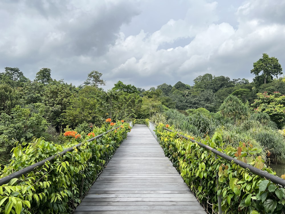 a wooden bridge over a forest