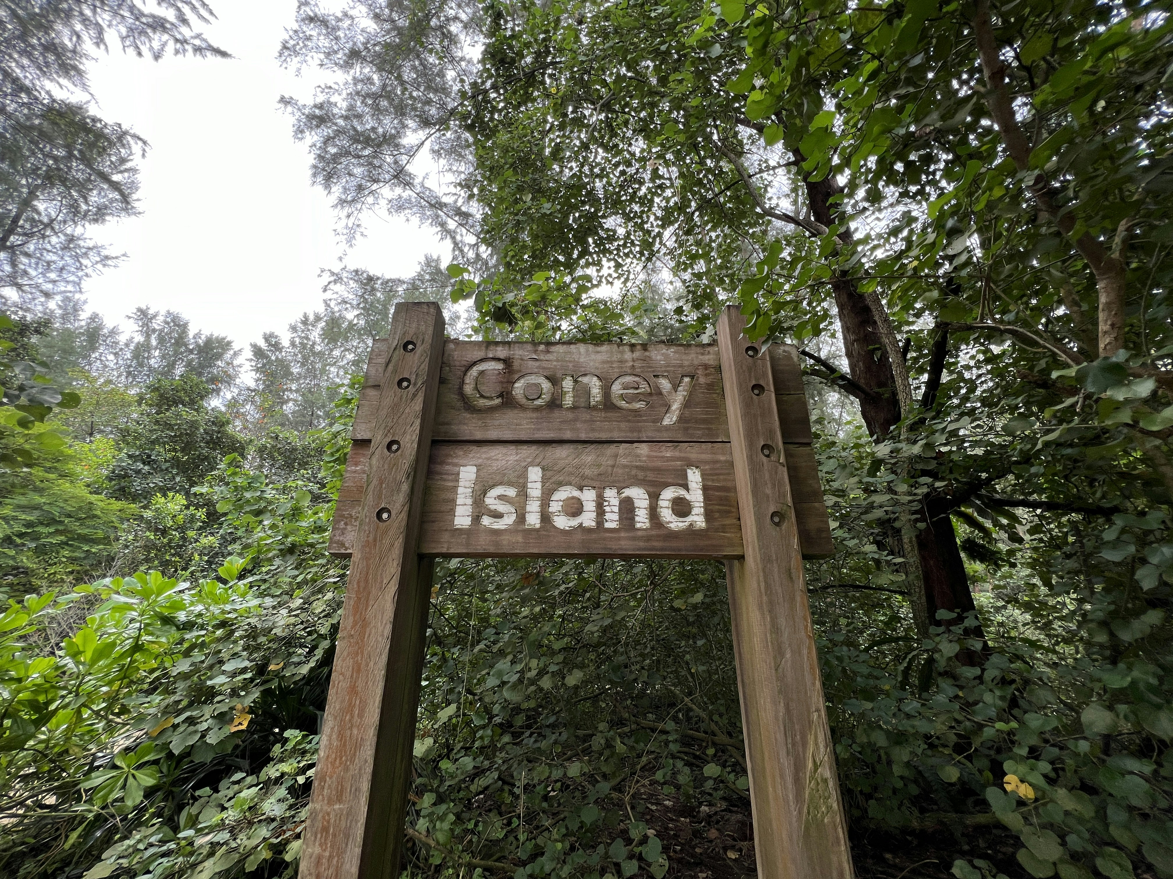 a wooden sign in front of trees