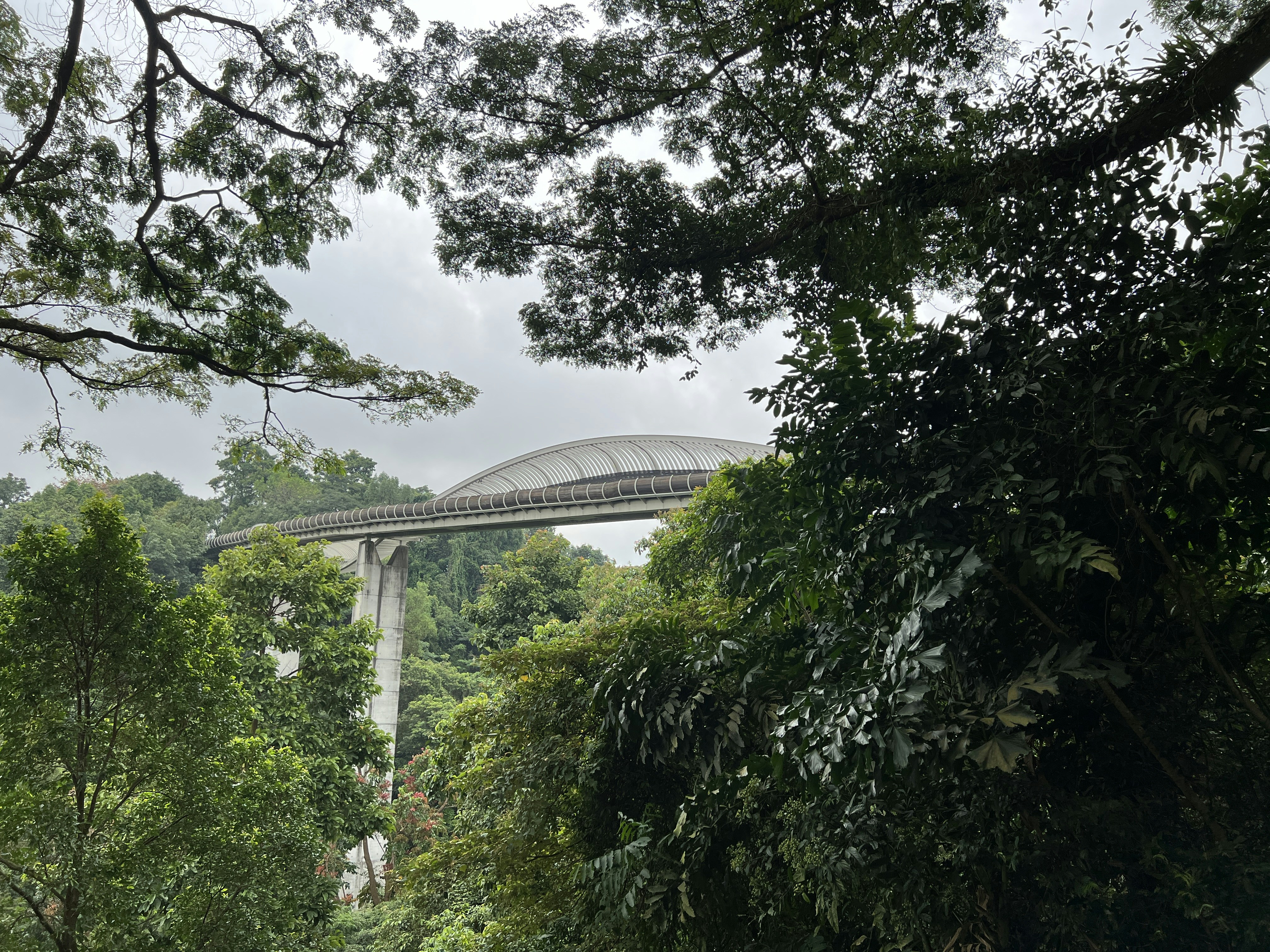 Best Dog-Friendly Hiking Trails in Singapore (2026 Guide)