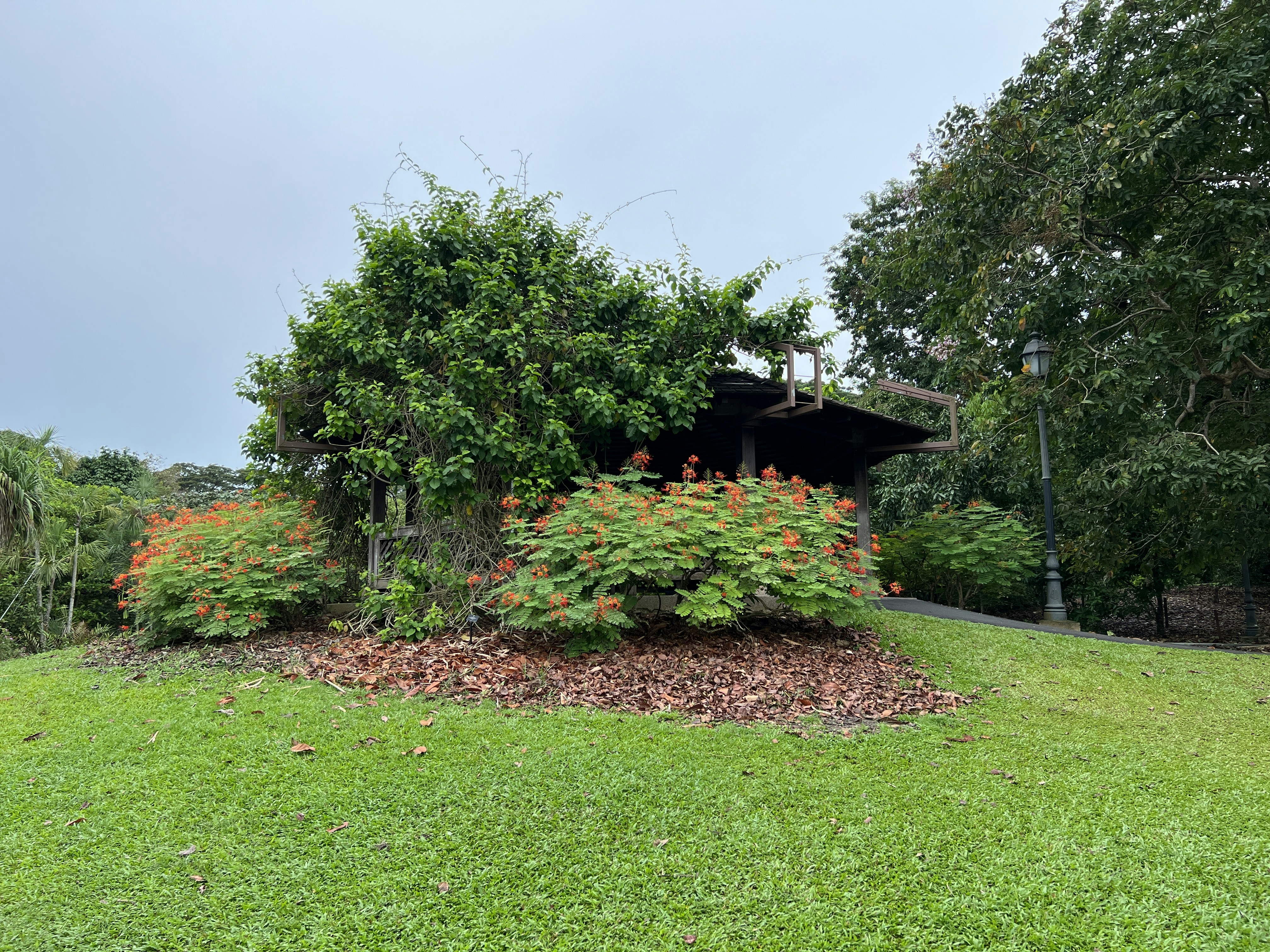 Photo by space_launch_system