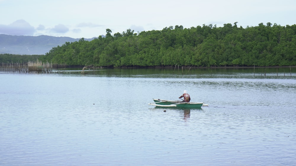 a person on a boat in a lake
